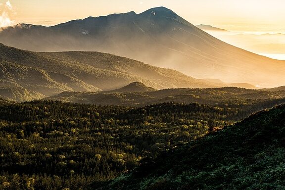 Présentation du tohoku