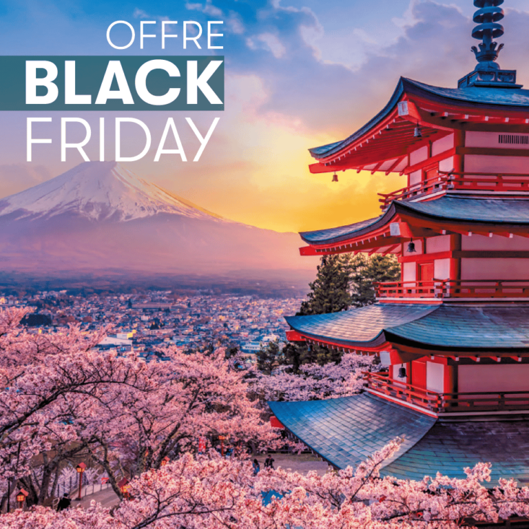 Compensez Votre Vol vers le Japon : Un Voyage Responsable pour un Avenir Durable