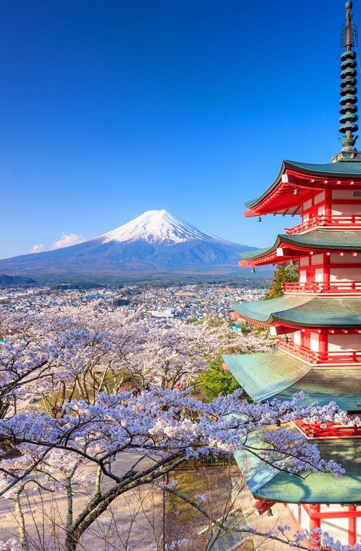 Parcourez le Japon en fleurs : 2 semaines d&rsquo;itinéraire pour admirer les cerisiers en fleurs