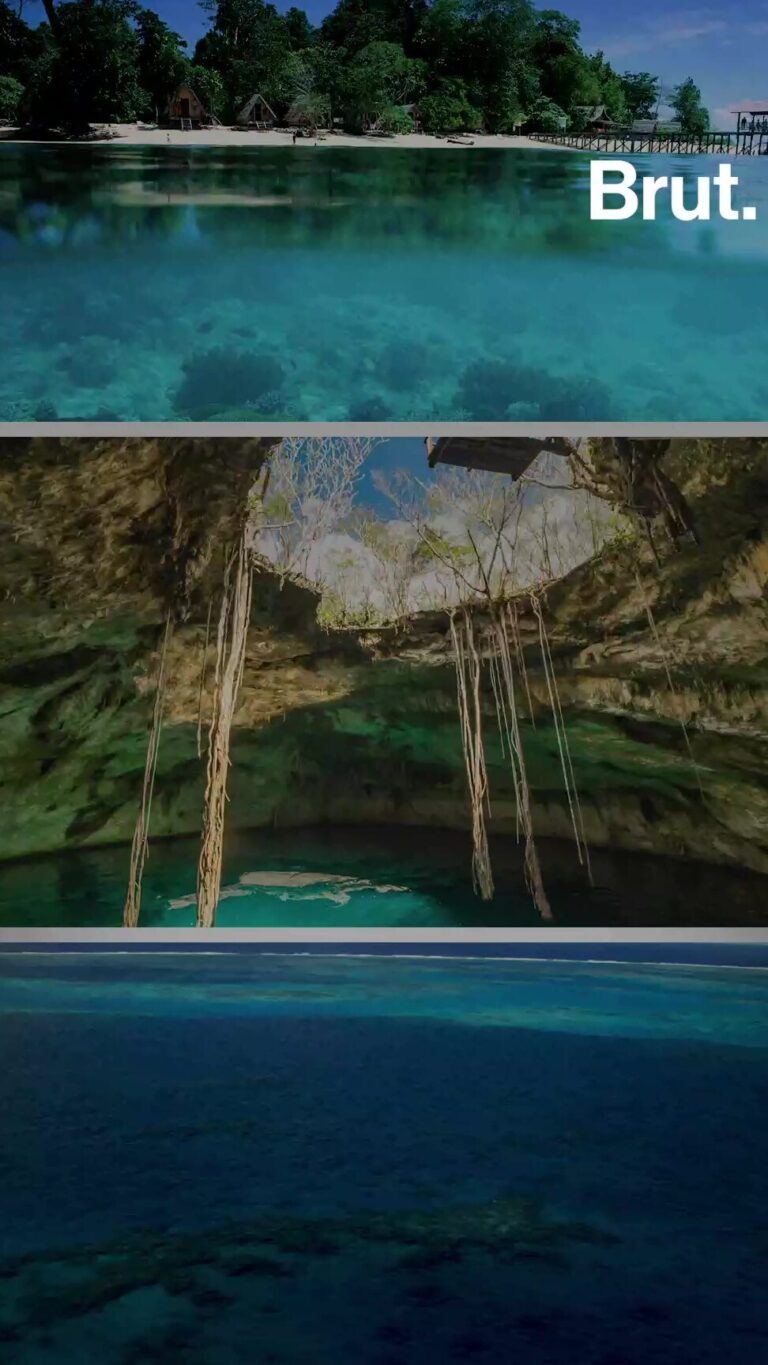 Voice : plongée captivante dans un dorama médico-légal et mystérieux au Japon