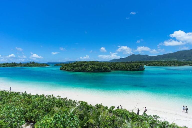 Voyage de Noces au Japon : Découvrez les Meilleurs Endroits Pour Une Lune de Miel Inoubliable